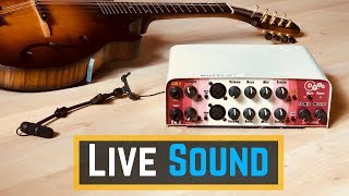 Mandolin Microphones  Live Sound Setup Tutorial [upl. by Irek836]