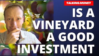 Is a Vineyard a good investment Why I started one [upl. by Reis]