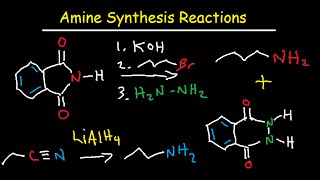 Amine Synthesis Reactions Organic Chemistry  Summary amp Practice Problems [upl. by Ahsiat406]