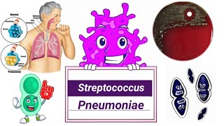 Streptococcus pneumoniae English  Microbiology [upl. by Nils8]