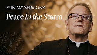 Peace in the Storm  Bishop Barrons Sunday Sermon [upl. by Aramen532]