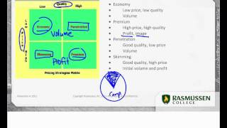 Marketing Mix Pricing Strategies [upl. by Naujak]