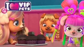 VIP PETS Season 1 Adventures Full Episodes of ALL S1 Compilation 🌈 Enjoy Cartoons for Kids [upl. by Susan951]