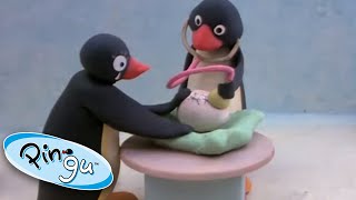 Pinga is Born  Pingu Official  1 Hour  Cartoons for Kids [upl. by Neomah612]