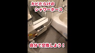 DIY 自分でできる！シャワーホースの交換方法！ [upl. by Inod847]