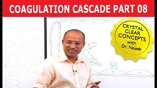 Coagulation Cascade  Part 812 [upl. by Haelat]