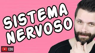 SISTEMA NERVOSO  FISIOLOGIA  Aula  Biologia com Samuel Cunha [upl. by Llerad]