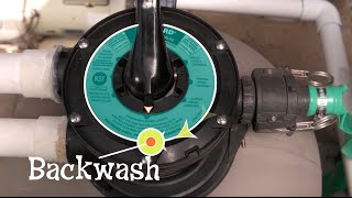 How to backwash your pool [upl. by Laughlin]