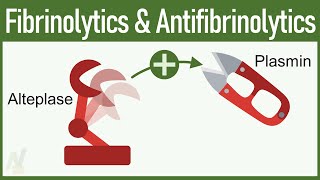 Fibrinolytics amp Antifibrinolytics Pharmacology [upl. by Starks381]