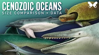 Aquatic animals of the Cenozoic Size comparison paleoart [upl. by Maharva95]