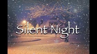 Silent Night  Instrumental [upl. by Klos]