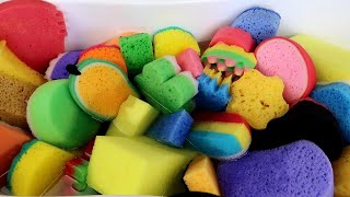 ASMR Rinsing For Relax amp Sleep  My Sponge Collection [upl. by Ellehsim162]