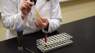 How to Inoculate a Slant  MCCC Microbiology [upl. by Zwiebel]