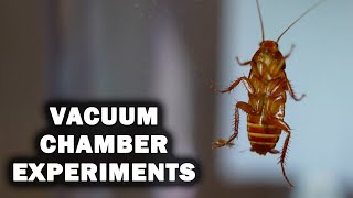 15 Vacuum Chamber Experiments [upl. by Ellenuahs230]