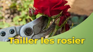 Comment tailler les rosiers [upl. by Studley466]