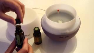 How to use a diffuser for your Essential Oils [upl. by Eyde516]