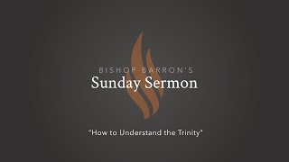 How To Understand the Trinity — Bishop Barron’s Sunday Sermon [upl. by Netnert775]