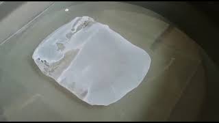 Flat Sheet Membrane Fabrication Polysulfone PS Membrane Casting Using Rod [upl. by Fauch]