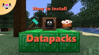 How to install Datapacks and Resource packs  Minecraft 116 Tutorial [upl. by Eenot]