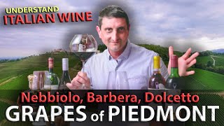 Piedmonts Wine TRILOGY Nebbiolo Barbera Dolcetto  Italian Wine 101 [upl. by Aihsatsan]