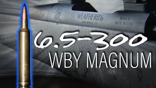 New Weatherby Caliber 65  300 Weatherby Magnum Review [upl. by Sarena491]