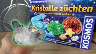 Kristalle selber züchten😳  Funktioniert das [upl. by Zednanreh]