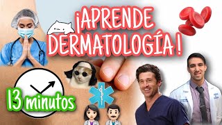 PIEL ¡Anatomía funcional en 13 minutos BASES DE LA DERMATOLOGÍA [upl. by Sawyor859]