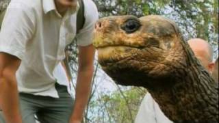 Lonesome George the Galapagos Tortoise  Explore  BBC [upl. by Eidnarb]