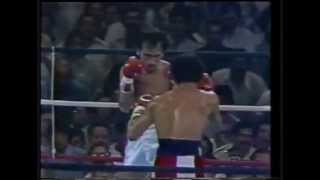 Wilfredo Gomez vs Carlos Zarate full fight HD [upl. by Esnohpla]