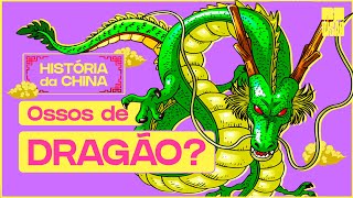 História da China  Os Lendários Ossos de Dragão [upl. by Adnulahs275]