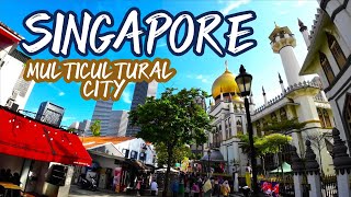 Multicultural Singapore [upl. by Charmaine]