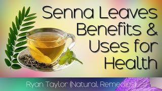 Senna Leaves Benefits and Uses [upl. by Inama]