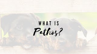 What Is Pathos [upl. by Aloin]