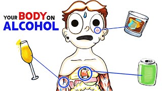 How Alcohol Changes Your Body [upl. by Llezom]