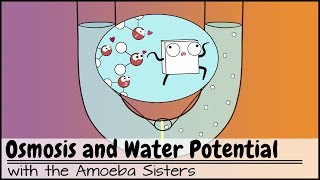 Osmosis and Water Potential Updated [upl. by Briant]