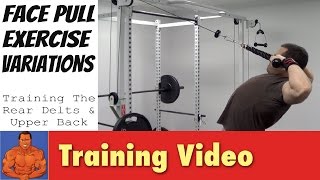 Face Pulls Alternative Exercise Variations [upl. by Bren]