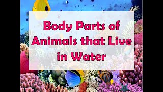 Body Parts of Animals That Live in Water  Science Grade 4 [upl. by Emory]