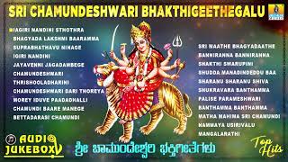 Most Beautiful Song of Durga Devi  Aigiri Nandini [upl. by Oibaf]