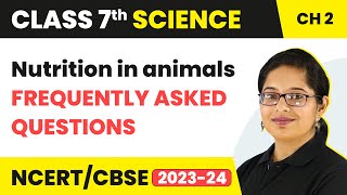 Frequently Asked Questions  Nutrition in animals  Class 7  Science  Chapter 2 [upl. by Finnie]