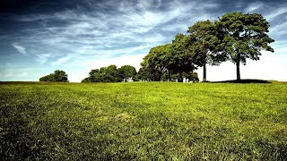 CANCIONES CRISTIANAS CON LETRA  Alabanzas Espiritu Santo  Musica Del Cielo [upl. by Aicsile]