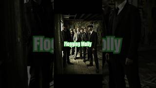 Flogging Molly  Drunken Lullabies [upl. by Elliott]