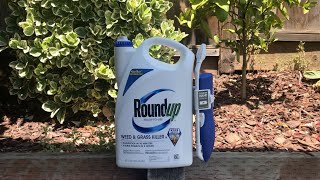 Review Roundup weed and grass killer [upl. by Josey239]