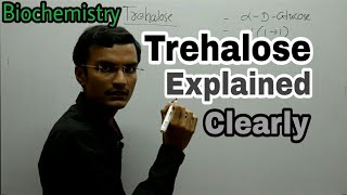 Trehalose Disaccharide  Biochemistry lecture [upl. by Eastlake]