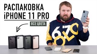 Распаковка iPhone 11 Pro и Max  все цвета  главная функция [upl. by Josy276]