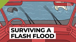 Everything You Need to Know During a Flash Flood [upl. by Adnirod716]