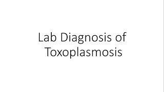 Laboratory Diagnosis of Toxoplasmosis  Parasitology [upl. by Erej227]