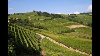 Places to see in  Alba  Italy  Langhe landscapes [upl. by Hedwig]