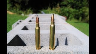 3006 vs 300 win mag  Cinder Block Test [upl. by Sturdivant185]