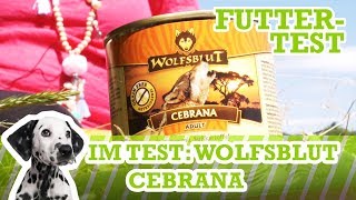 HundefutterTest Wolfsblut Cebrana Nassfutter Getreidefrei [upl. by Analrahc]