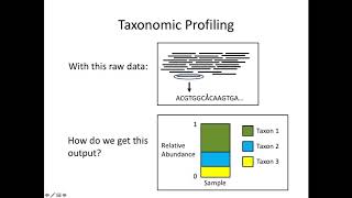 Analysis of Metagenomic Data [upl. by Nnyllatsyrc]